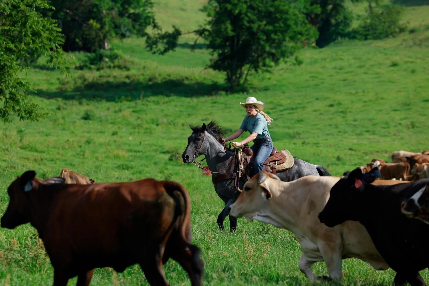 ranching