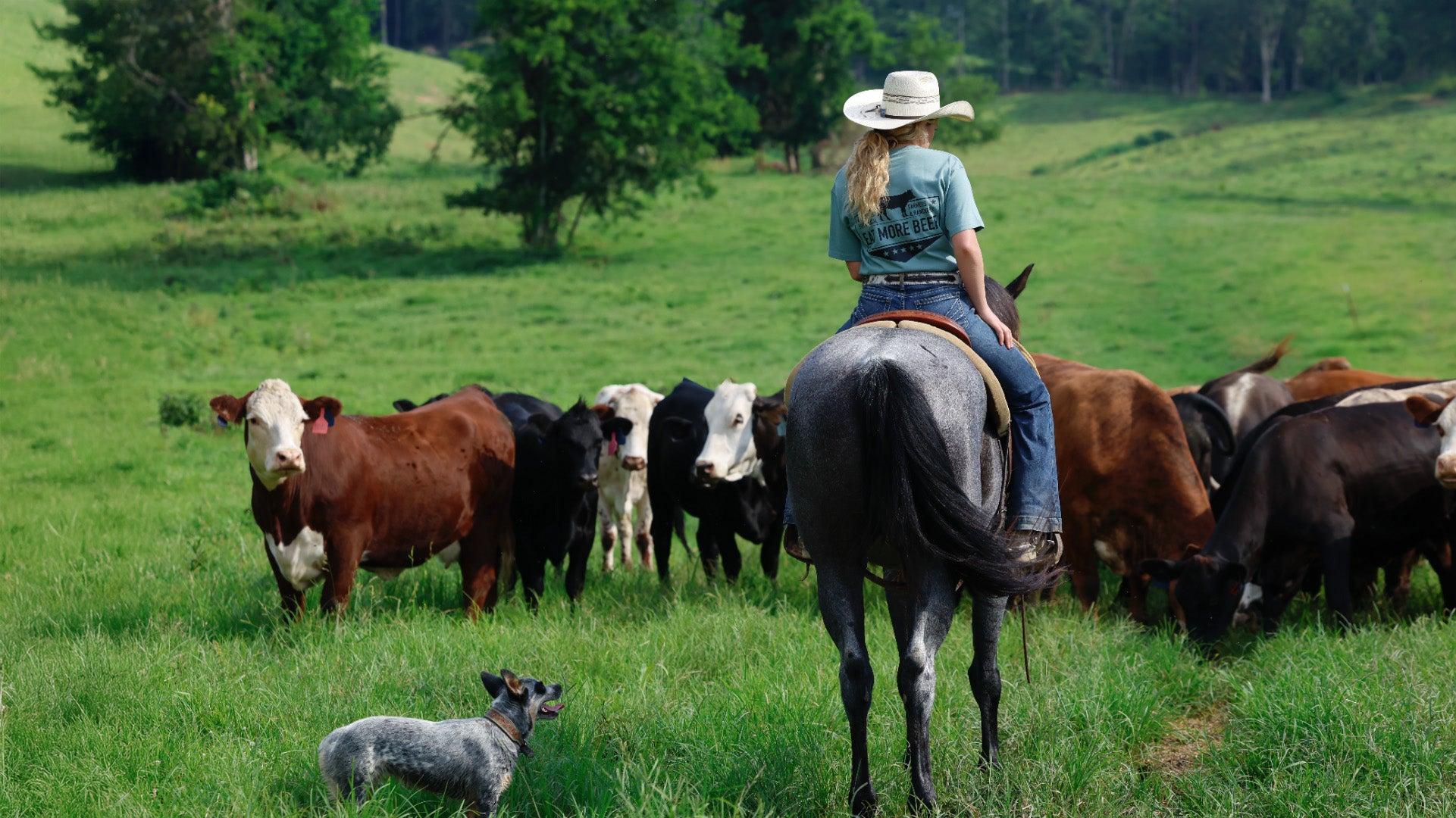 HERD